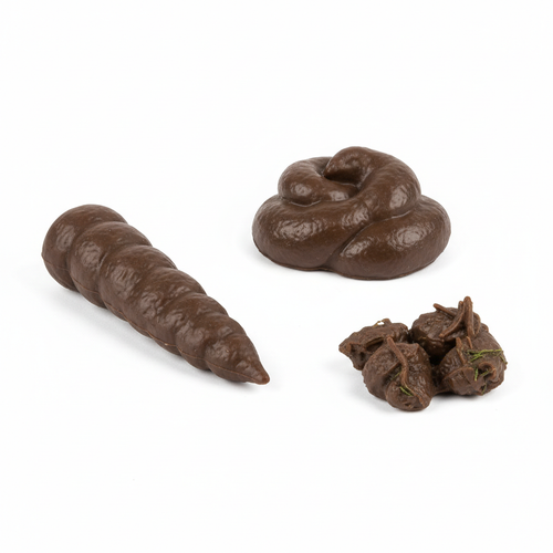 Fake Realistic Poop Set 3pc