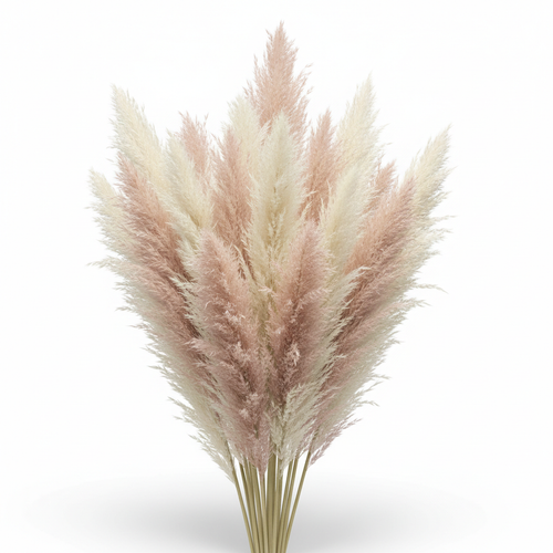 Pampas Grass Decor Bundle
