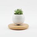 Magnetic Levitating Plant Pot