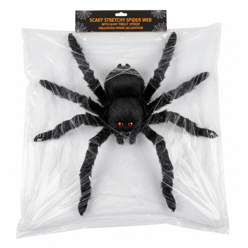 Fake Spider Web with Giant Spider